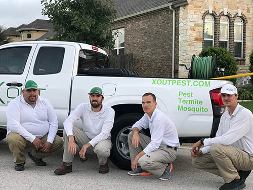 Pest Control Service Austin Texas, Pest Control In Round Rock Tx